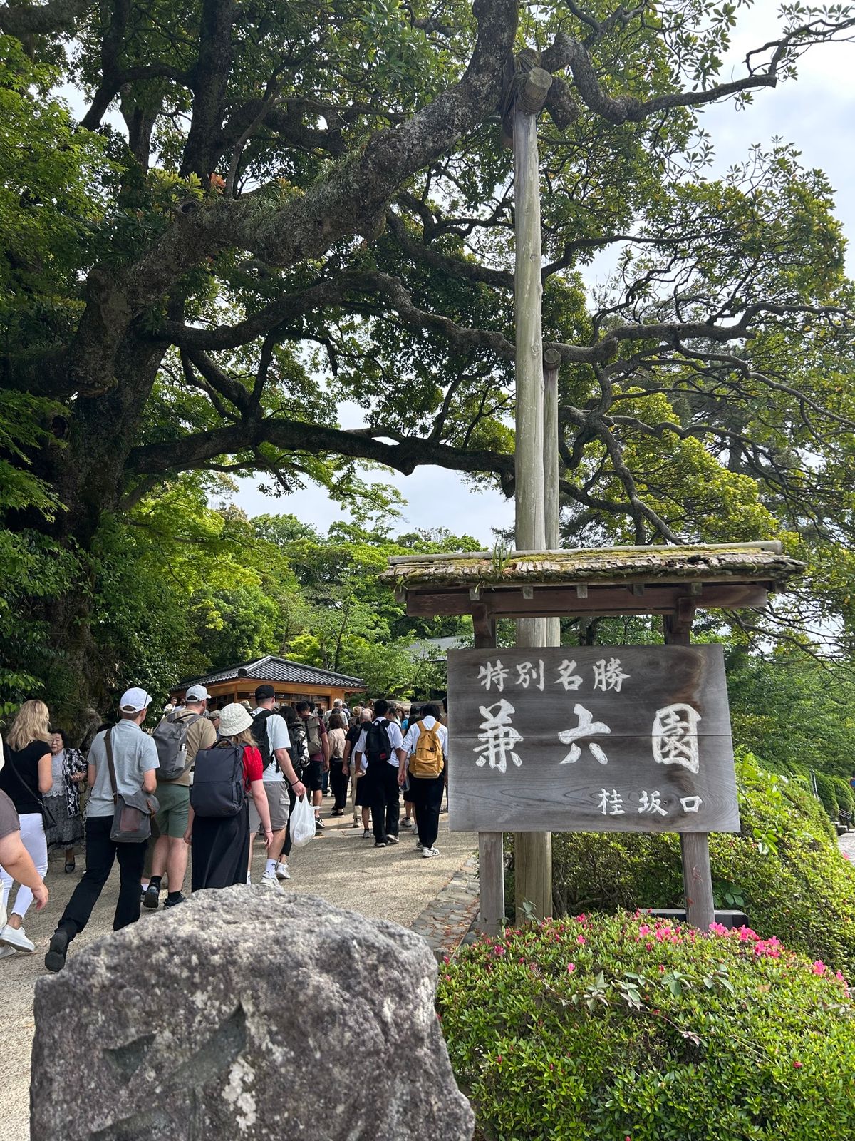 1日目記録~
全部バス移動できるの楽~