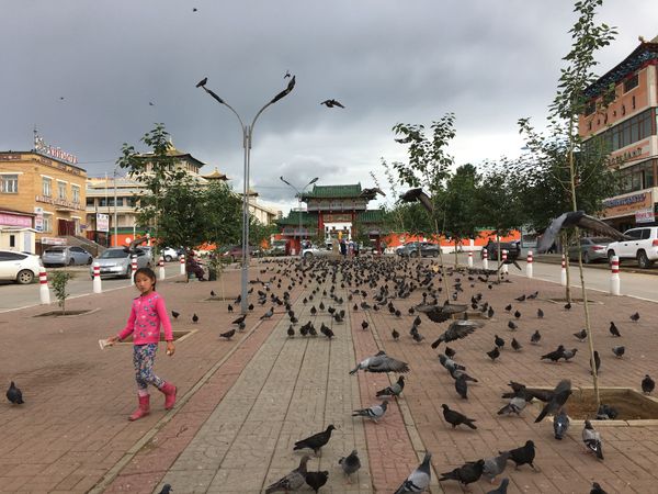モンゴル国・ウランバートル、テレルジ国立公園「モンゴル、鶴竜優勝おめでとうの旅」の写真：ウランバートル市内のガンダン・テクチェリ...