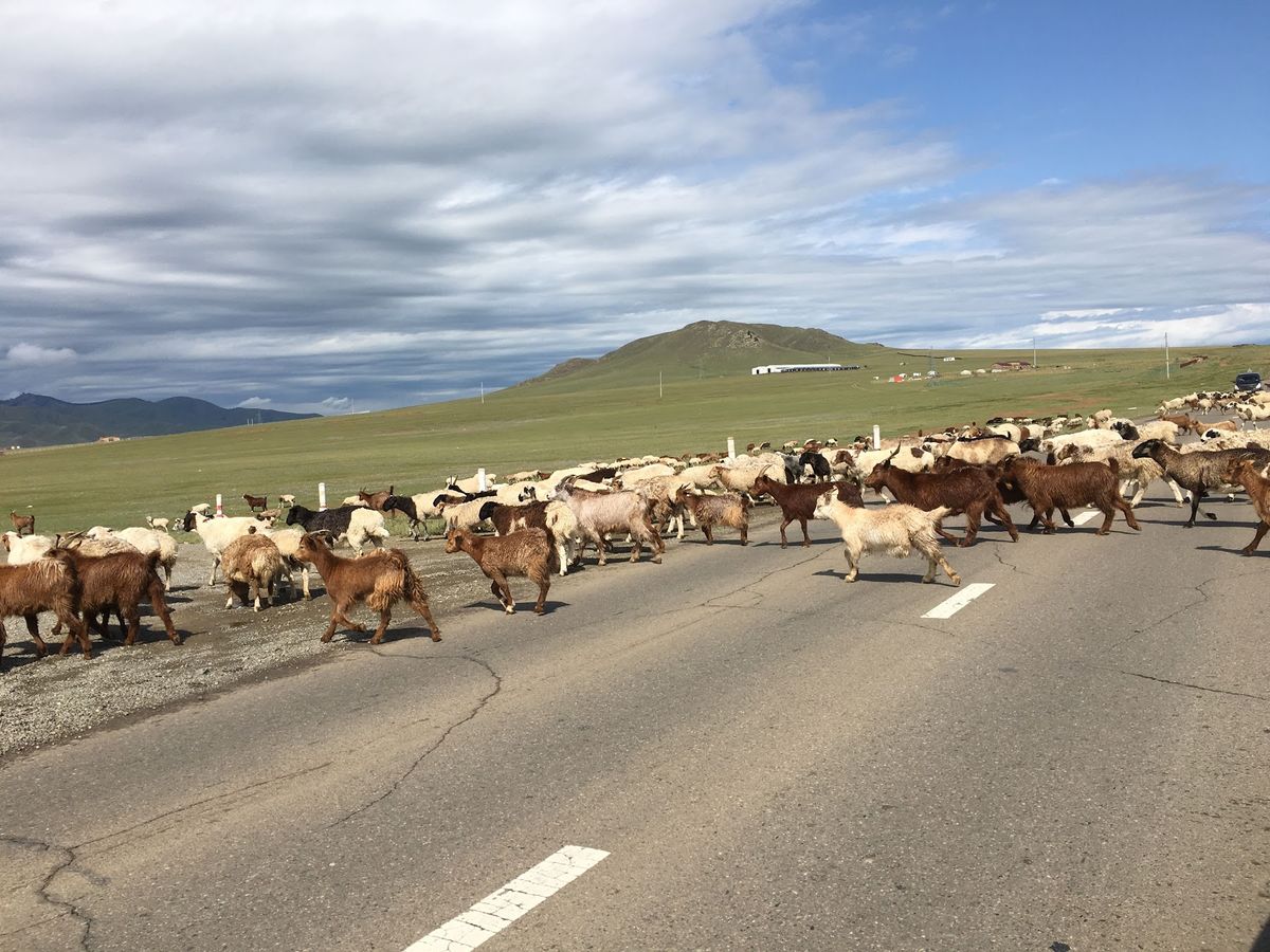 山羊の群れ、世界で8番目に大きな像、チンギス・ハーン像。