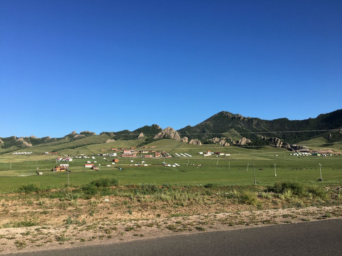 さばきたて羊肉の塩茹、超絶品。全然臭くない(が、手掴みで食べるので手は臭く...