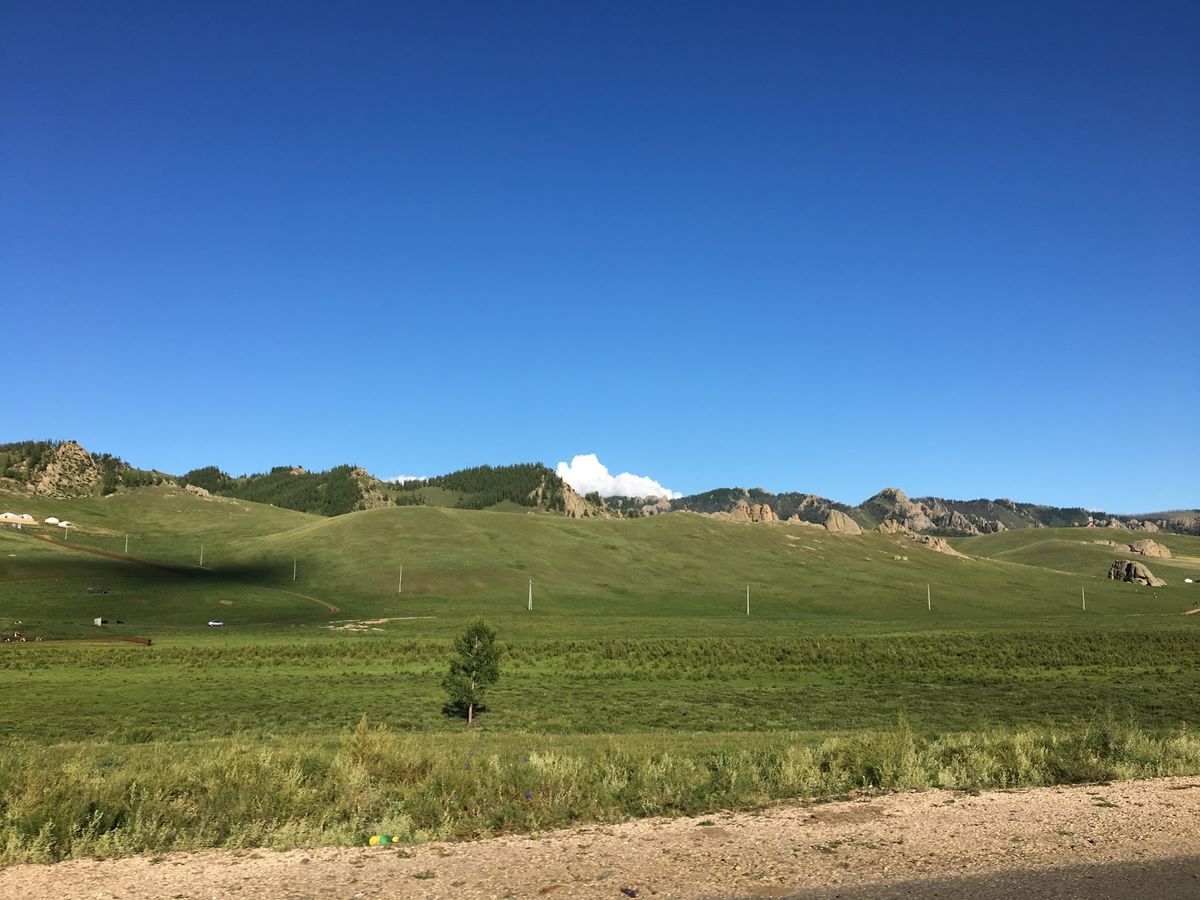 さばきたて羊肉の塩茹、超絶品。全然臭くない(が、手掴みで食べるので手は臭く...