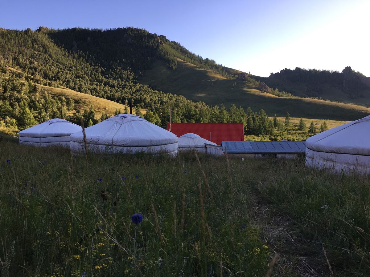 さばきたて羊肉の塩茹、超絶品。全然臭くない(が、手掴みで食べるので手は臭く...