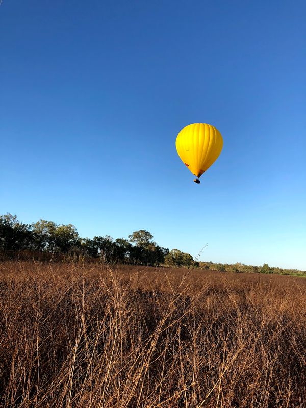 オーストラリア連邦・ケアンズ  キュランダ「ケアンズの旅🇦🇺」の写真：熱気球にも乗りましたー。気持ちよかったー...