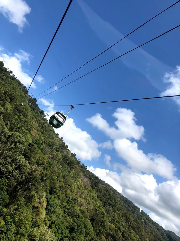 オーストラリア連邦・ケアンズ  キュランダ「ケアンズの旅🇦🇺」の写真：キュランダ①ロープウェイとキュランダ鉄道...
