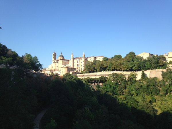 イタリア・ミラノ「古楽器クラリネットの旅2018①」の写真：《ウルビーノ》
ドゥカーレ宮殿/ポルチー...