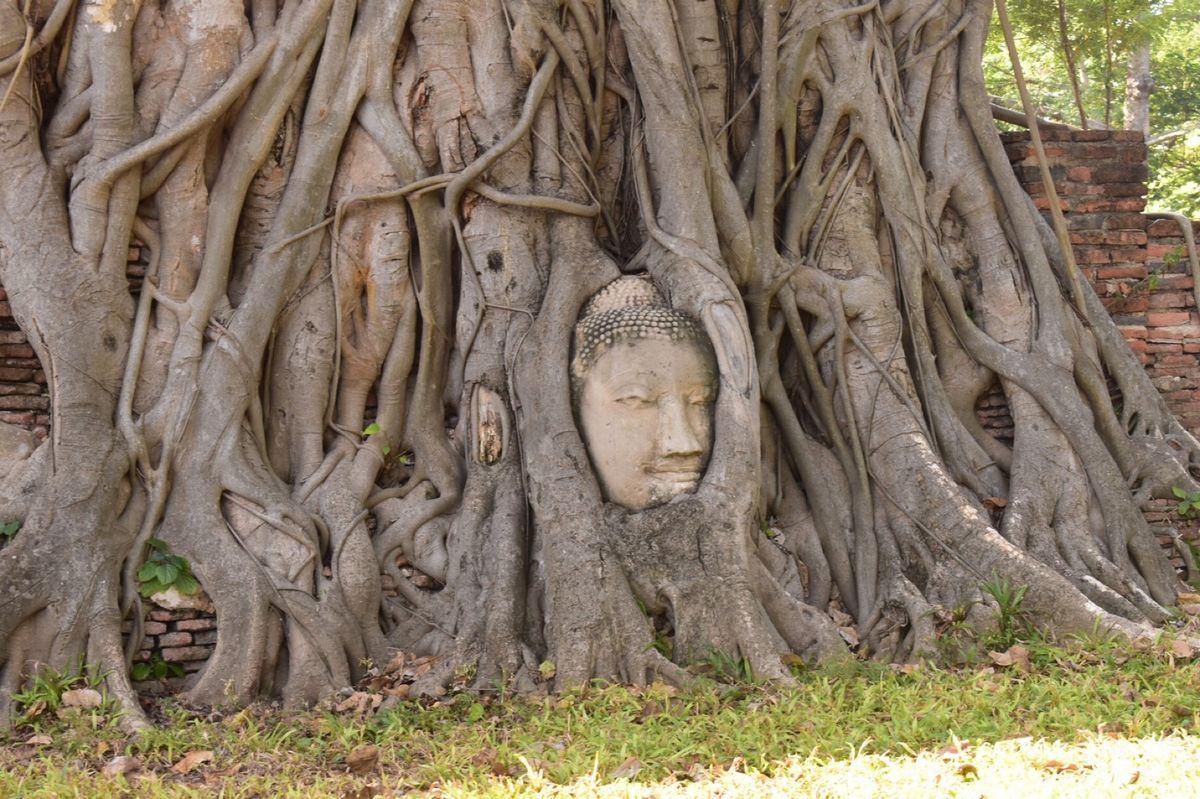 有名なアユタヤ遺跡！