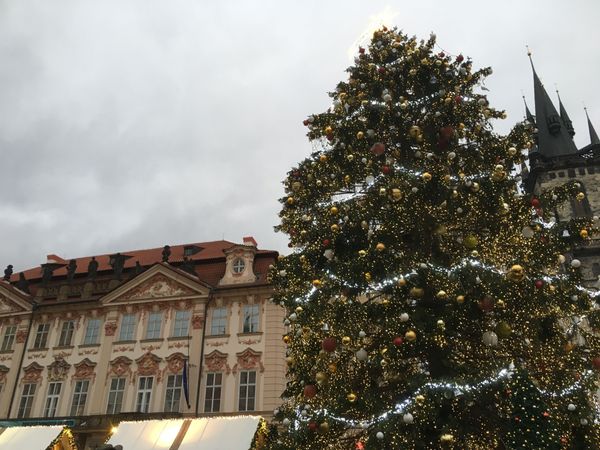 チェコ共和国・Prague「親子旅行チェコ編」の写真：年末とはいえ、まだクリスマスムード満点でした。