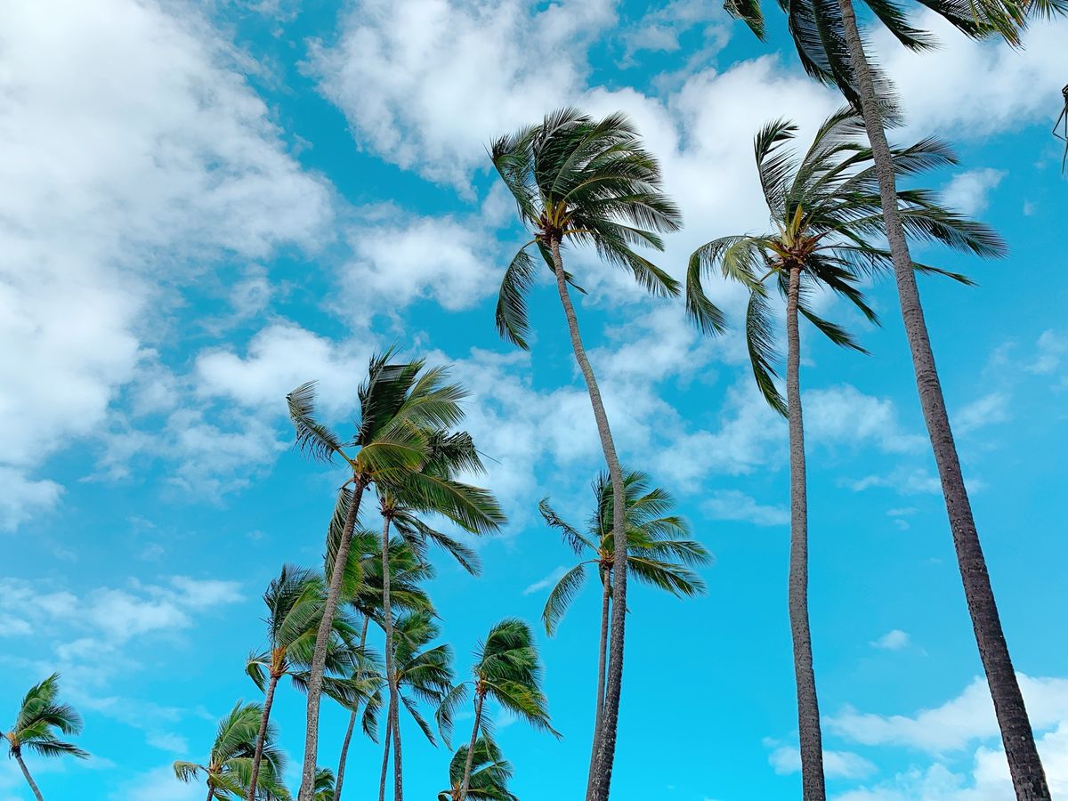 ハワイといえばこの景色🏝
自分の目で見てこれて幸せだったー☺️