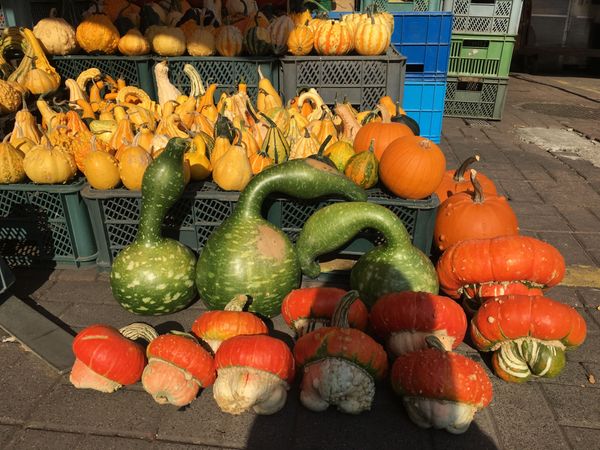 ポーランド・Warszawa「傷心旅行（笑）ポーランド」の写真：ワルシャワの市場、Hara Mirows...