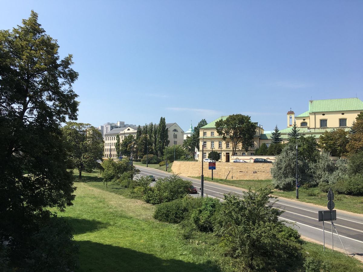 到着直後のワルシャワ。夏のポーランドと言えばLody(アイス)。細長いのが...