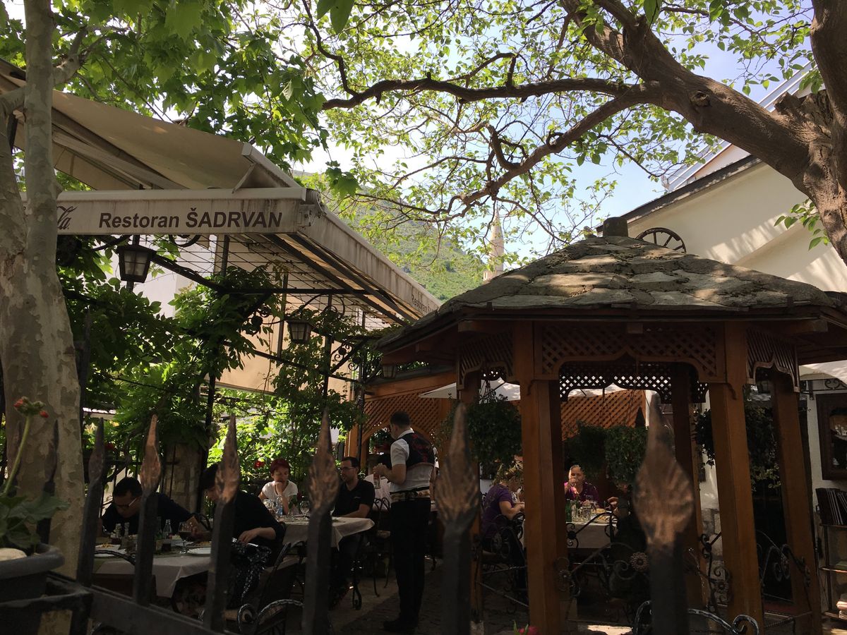 地ビールとランチと猫