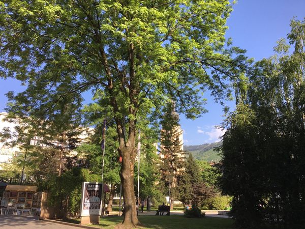 ボスニア・ヘルツェゴビナ・Sarajevo「念願叶ってボスニア・ヘルツェゴヴィナ」の写真：様々な文化が交錯することを実感