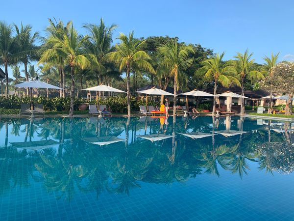 フィリピン・ナルスアン島「セブ島・ジンベイザメとシュノーケリング」の写真:ホテル内をお散歩!