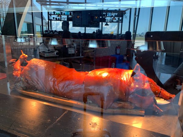 フィリピン・ナルスアン島「セブ島・ジンベイザメとシュノーケリング」の写真:フィリピン料理のレチョン🐷