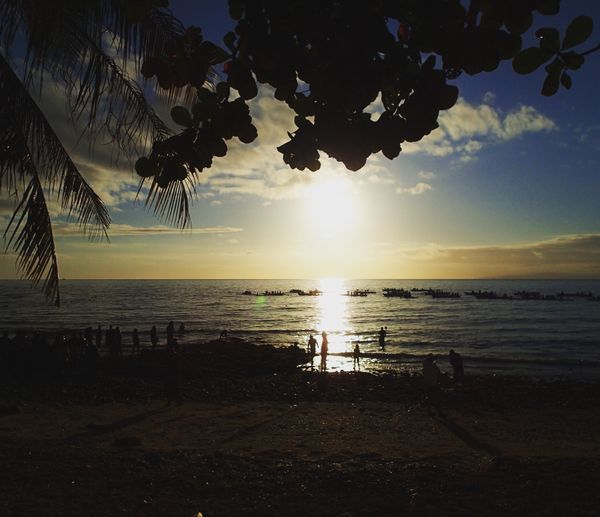 フィリピン・ナルスアン島「セブ島・ジンベイザメとシュノーケリング」の写真:ジンベイザメシュノーケリングをしたオスロ...