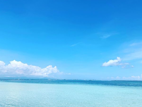 フィリピン・ナルスアン島「セブ島・ジンベイザメとシュノーケリング」の写真:海キレーイ🏖