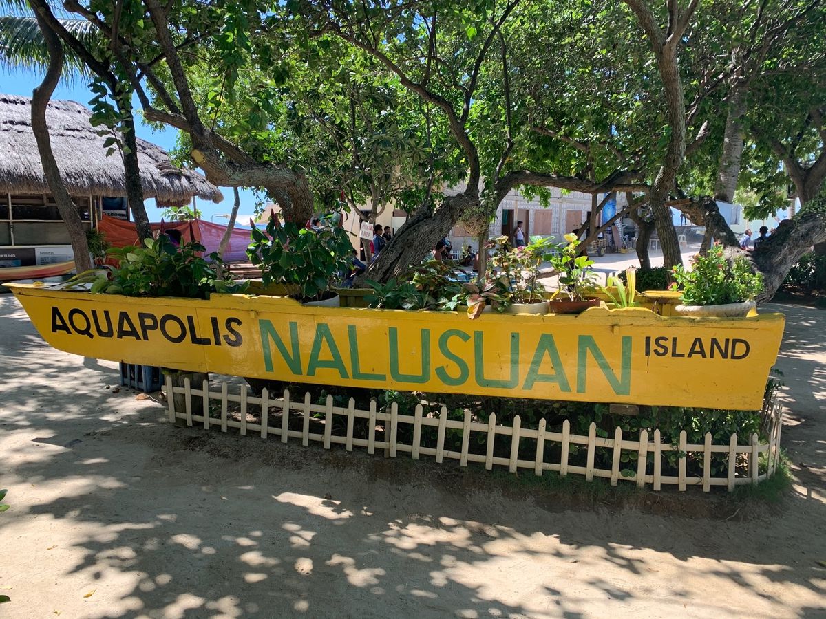 アイランドホッピングのブッフェランチ！マンゴーが美味しかった🥭