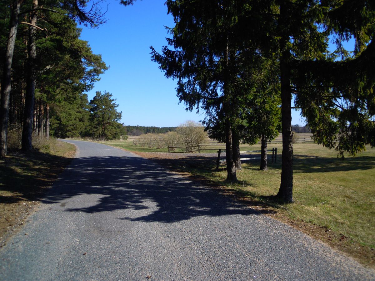 自転車を借りてサイクリング。キフヌ博物館にはクルトの展示や、民芸品の購入が...