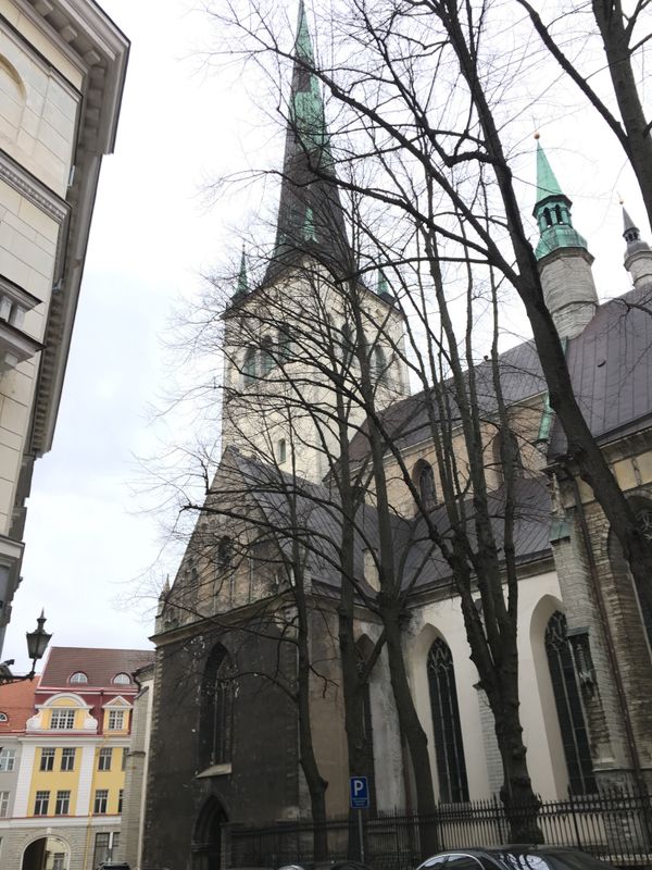 エストニア・Talinn「バルト三国、船でエストニアへ」の写真：寒い街歩き。ニットを買い込みました。