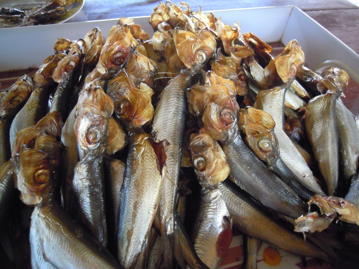 ここも観光施設なのかもしれませんが、ひっそりとしていました。でも近づくと「...