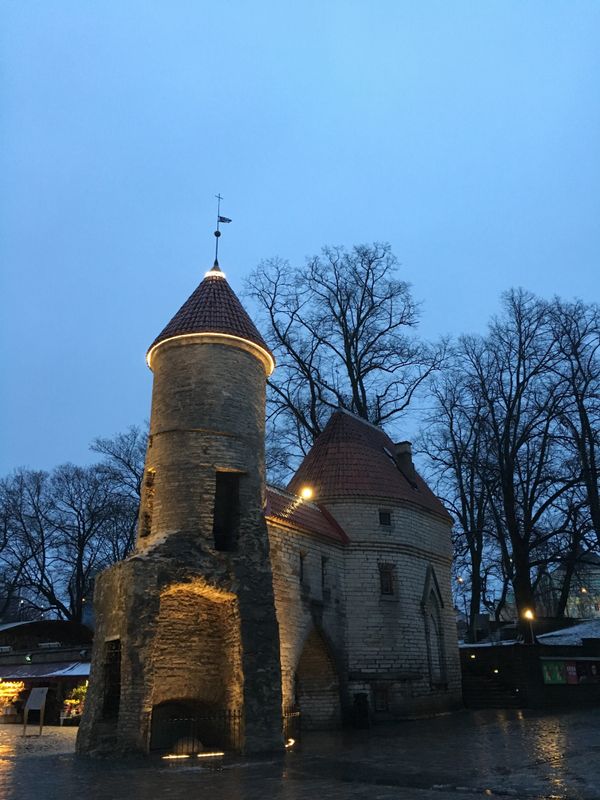 エストニア・Talinn「バルト三国、船でエストニアへ」の写真：雨上がり、黄昏時(と言っても22時近い)...