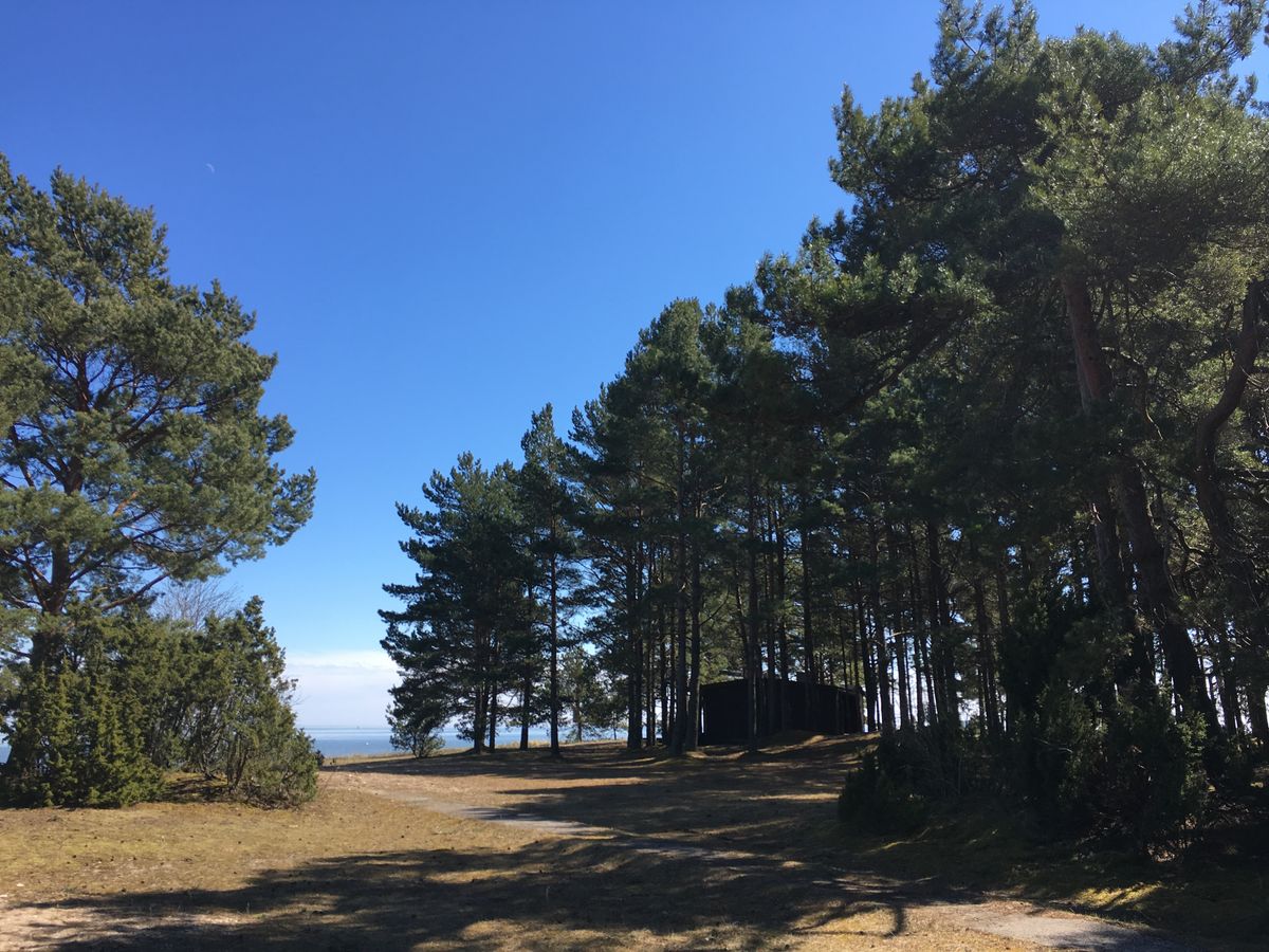 何もない。聞こえてくるのは風の音、どこかの家で犬が吠える声。鳥のさえずり。...