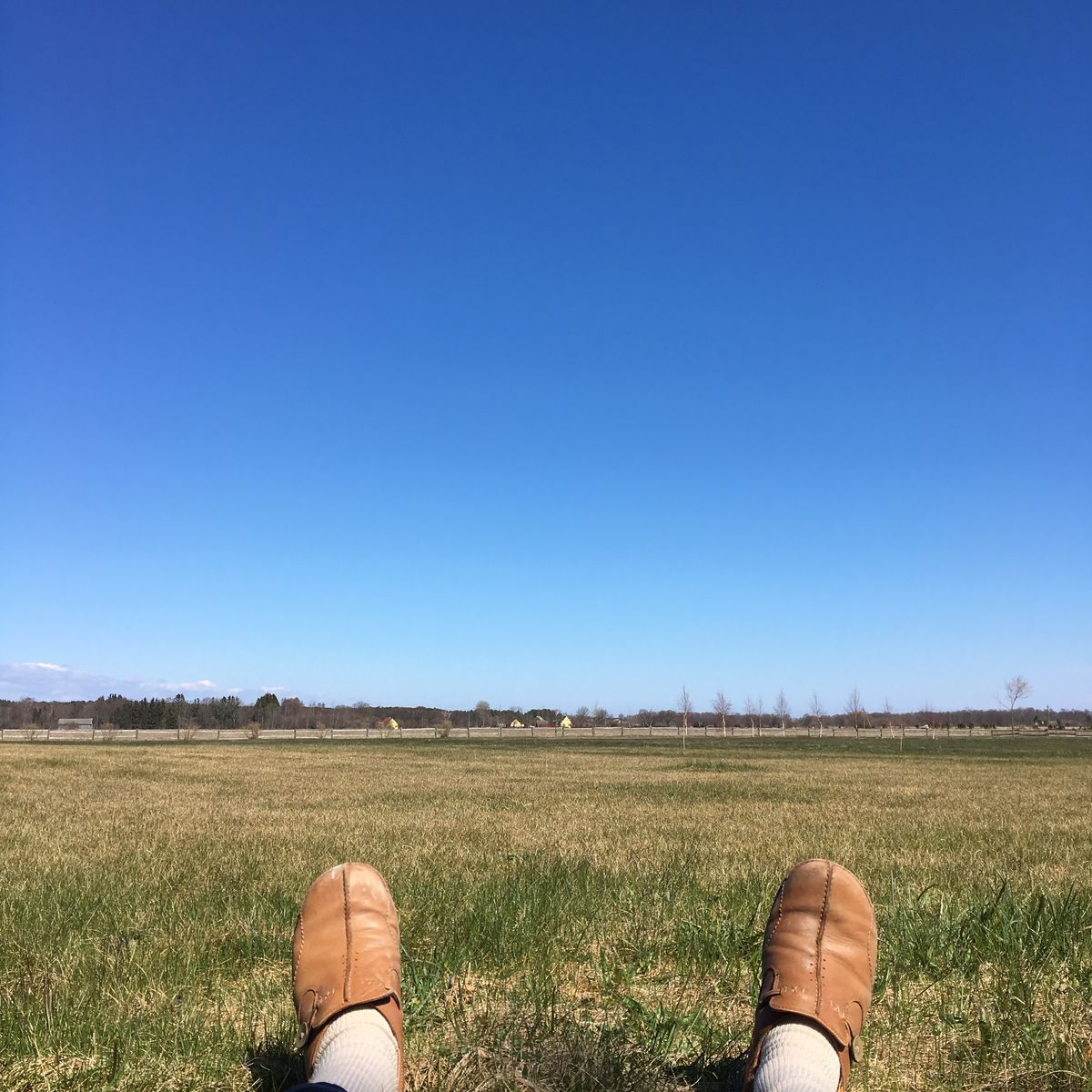 何もない。聞こえてくるのは風の音、どこかの家で犬が吠える声。鳥のさえずり。...