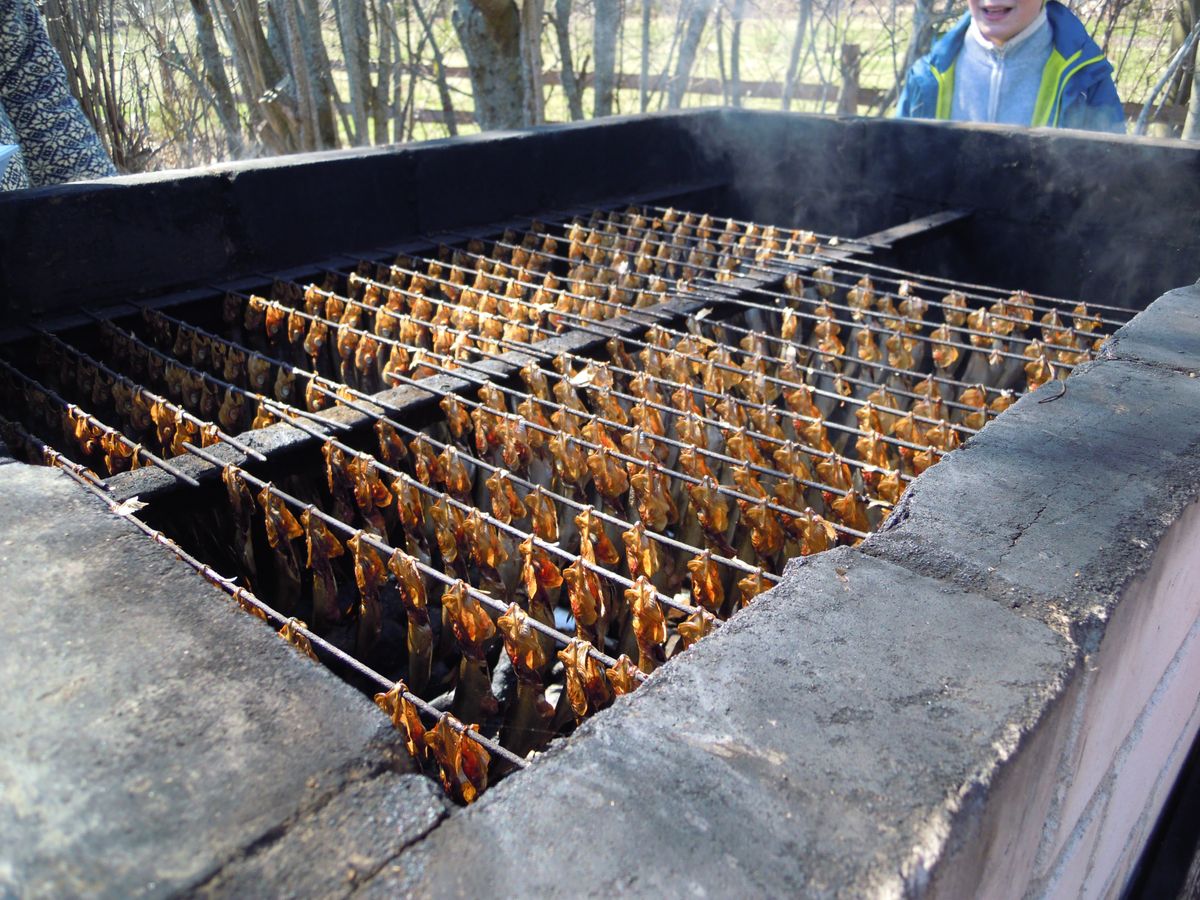 ここも観光施設なのかもしれませんが、ひっそりとしていました。でも近づくと「...