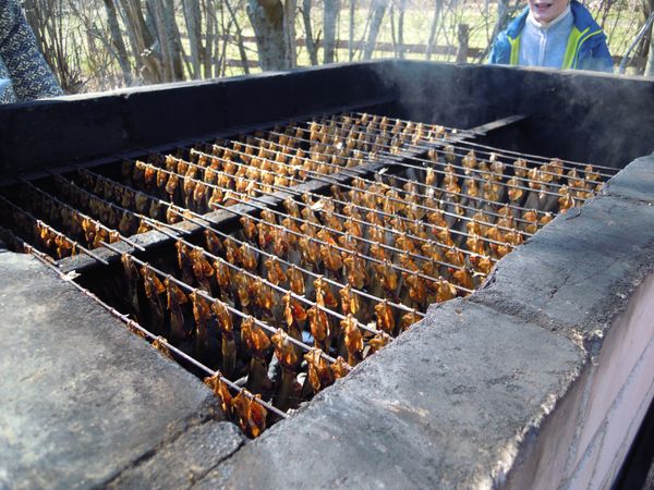 エストニア・Talinn「バルト三国、船でエストニアへ」の写真：ここも観光施設なのかもしれませんが、ひっ...