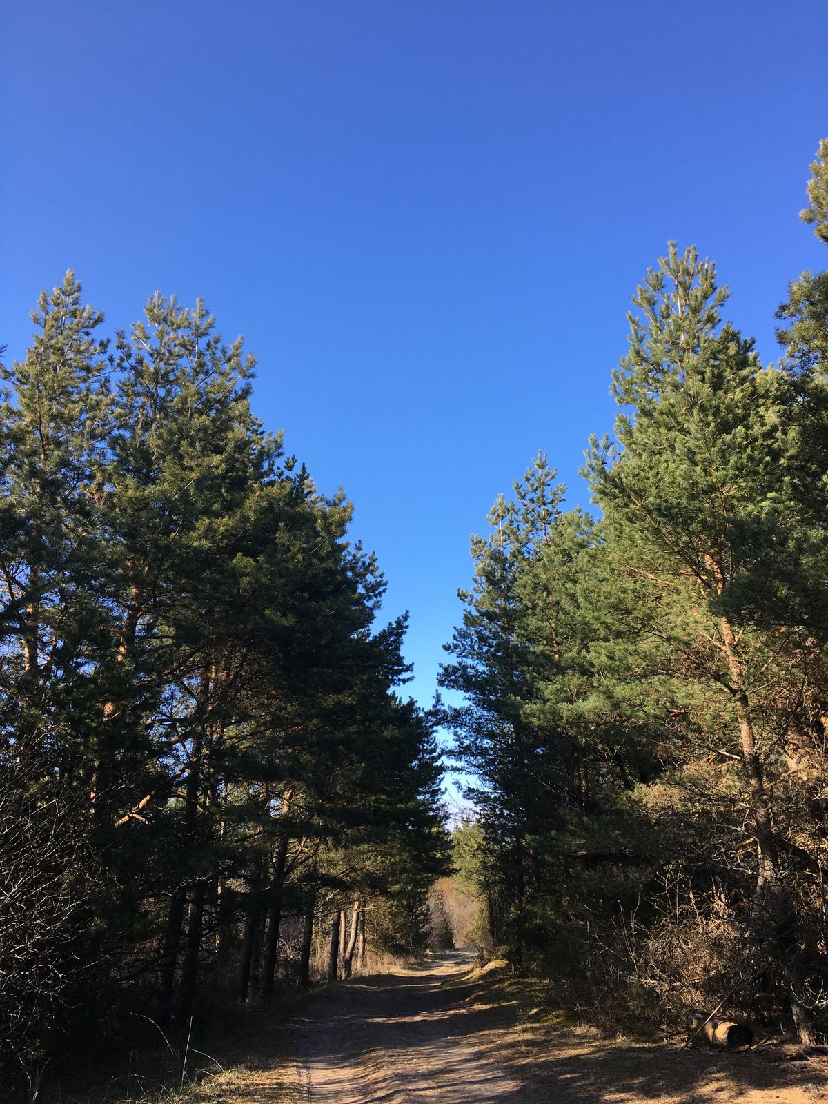 島の南端に灯台があります。店はほとんどありません。レストランもおそらく1軒...