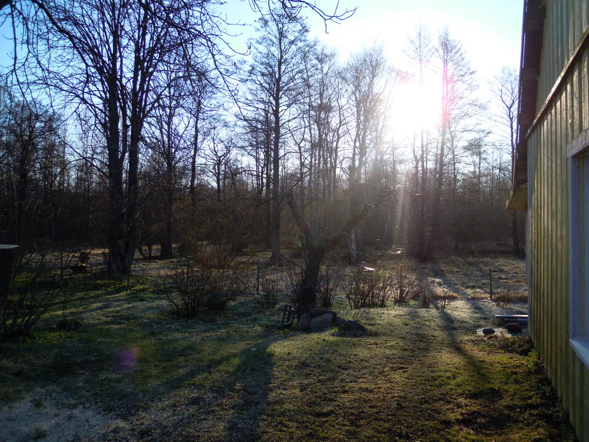 夜は全く灯りがなくなるので、満天の星空です。朝は霜がおりましたが、清々しいです。