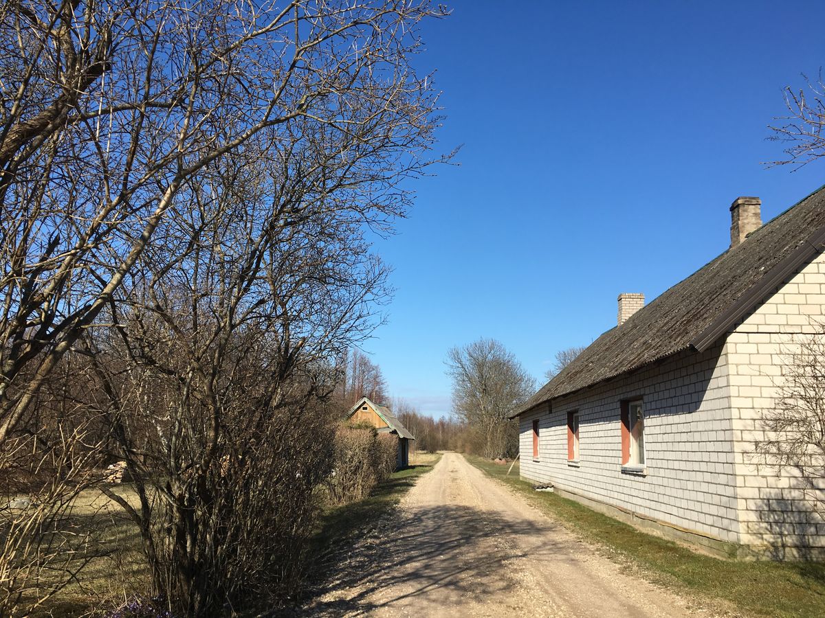 島の南端に灯台があります。店はほとんどありません。レストランもおそらく1軒...
