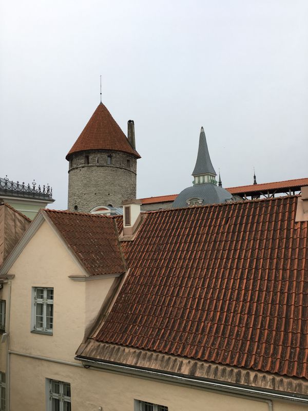 エストニア・Talinn「バルト三国、船でエストニアへ」の写真：天気もあまり良くなく(ちらちら小雪が舞う...