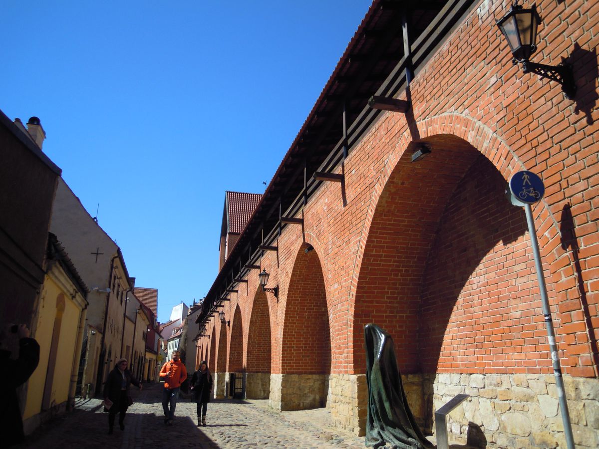 映え映えな建物(雑