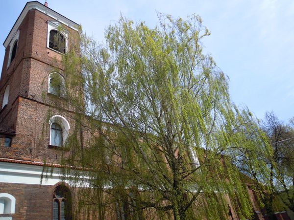 リトアニア・Kaunas「バルト三国、リトアニア編」の写真：カウナスの街並み。