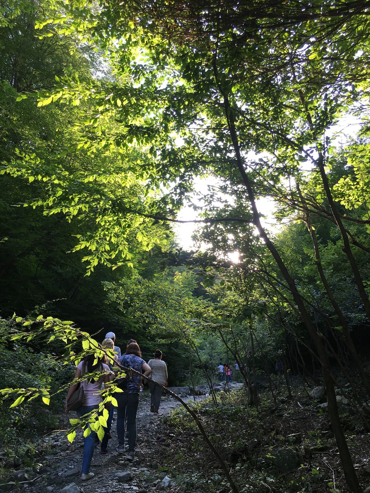 チャイ(ティー)タイム