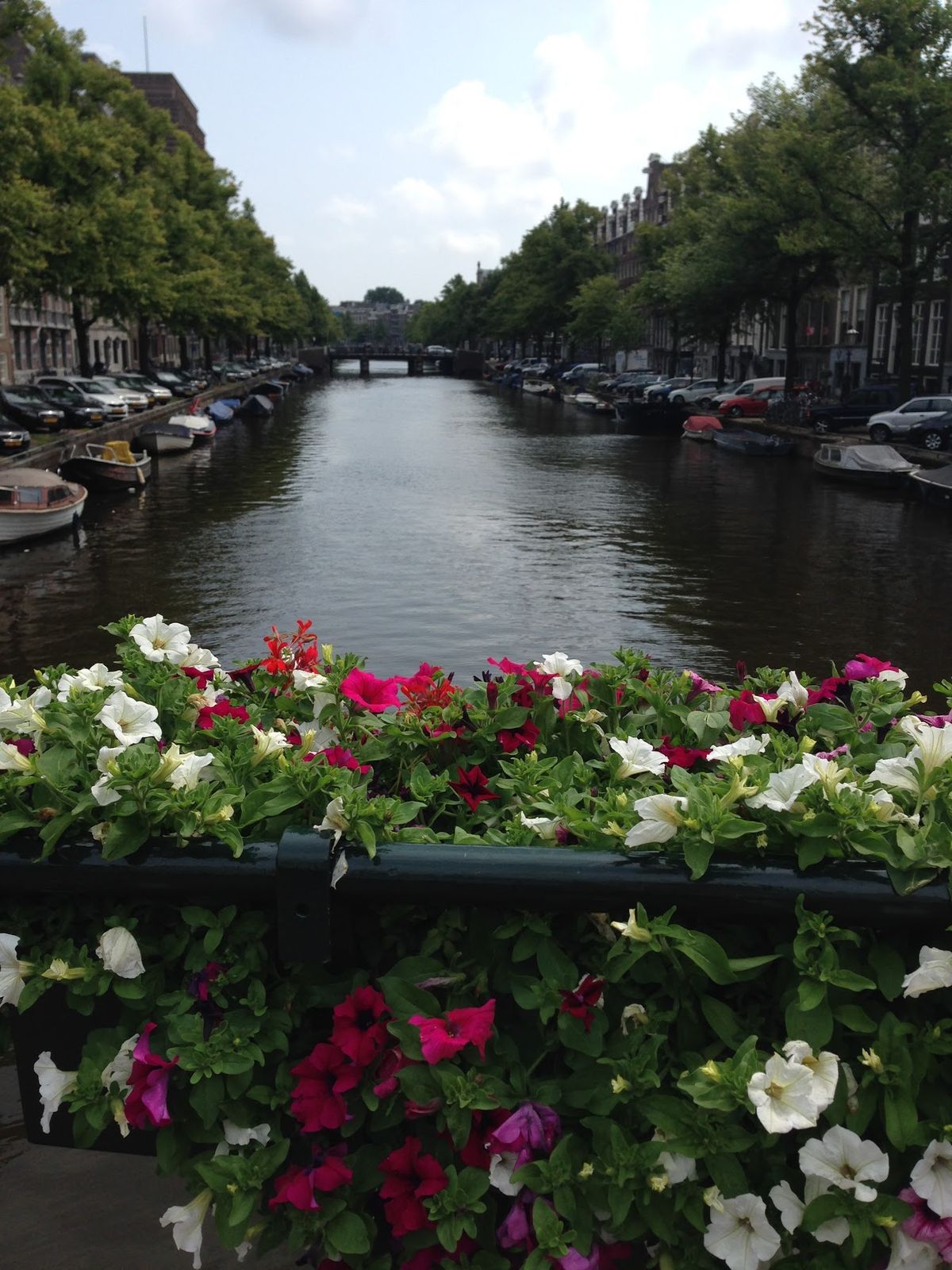 アムスのアパートメントには、たいてい半地下の駐輪場がある。そして運河、ミッ...