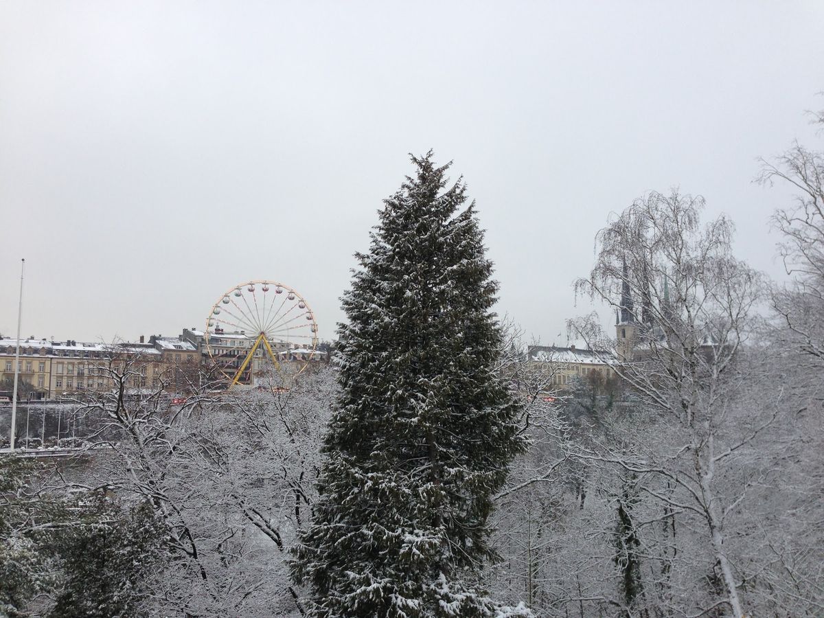 ルクセンブルクは雪景色も相まっておとぎの国のようでした。
