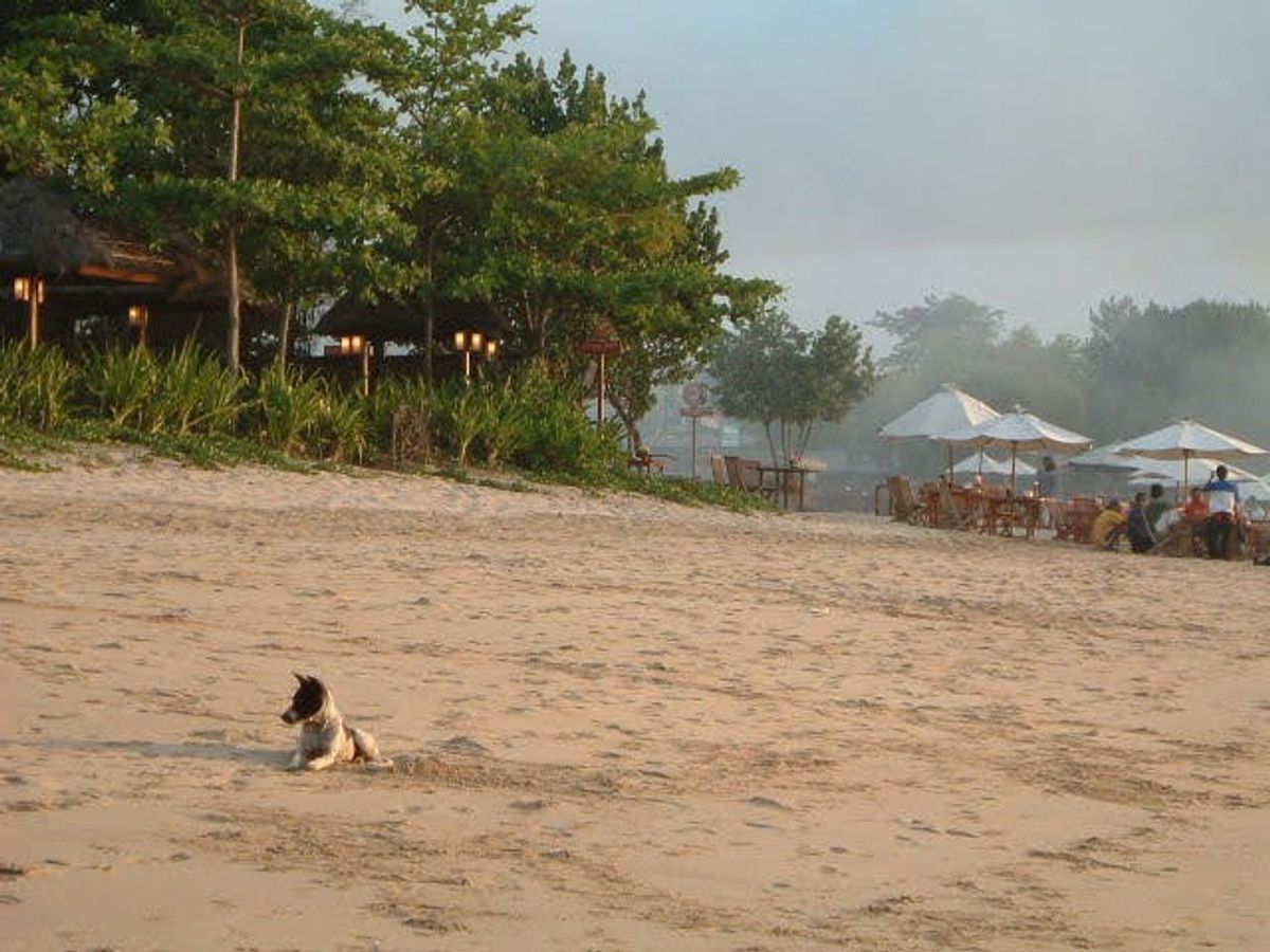 ビーチのシーフードレストラン(暗いけど)。