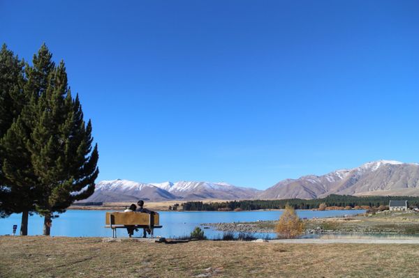 ニュージーランド・オークランド「テカポ湖で星空鑑賞🌌夫婦旅行」の写真：テカポを堪能したあとはプカキ湖までドライ...