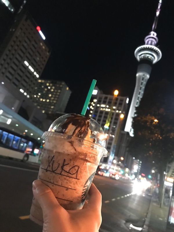 ニュージーランド・オークランド「テカポ湖で星空鑑賞🌌夫婦旅行」の写真：テカポからクライストチャーチまで🚗で戻り...