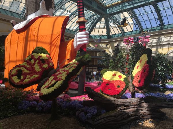 アメリカ(米国)「ラスベガス」の写真