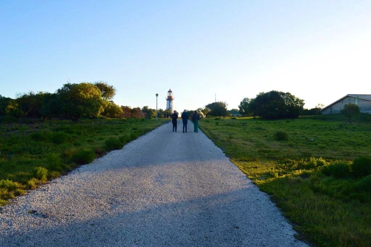 夕方はたまにみんなでお散歩に行ったり

この道を真っ直ぐ進むと
ロベン島の...