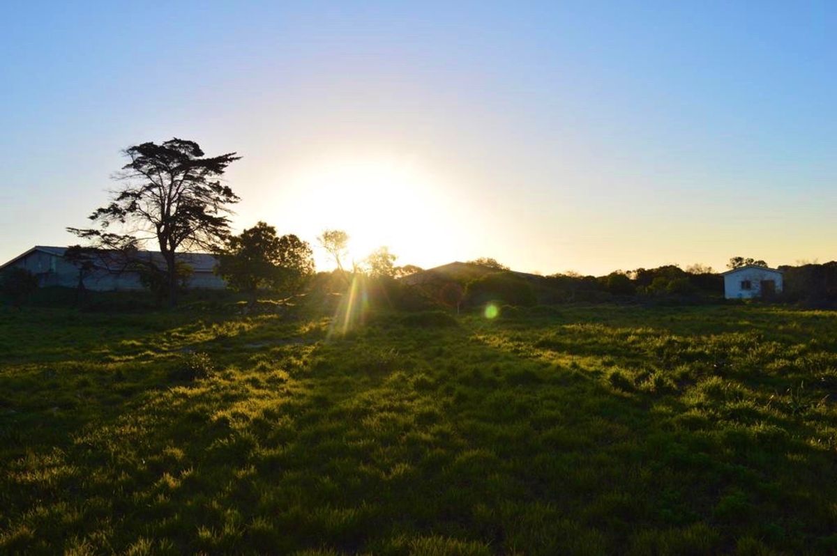夕方はたまにみんなでお散歩に行ったり

この道を真っ直ぐ進むと
ロベン島の...