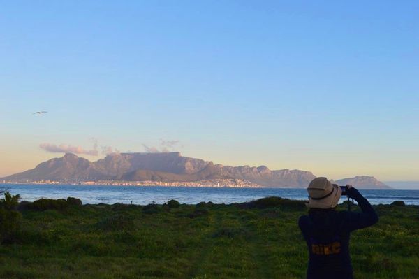 南アフリカ・ケープタウン「ペンギン調査に参加！」の写真：調査のあとにテーブルマウンテンを眺めにお散歩