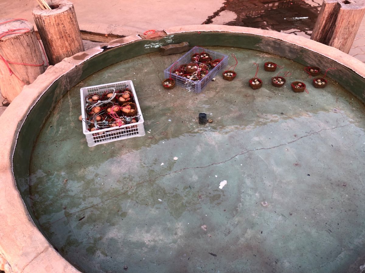 チェンライ温泉

温泉があったら温泉卵作るのは
どの国でも一緒なんだな〜
...