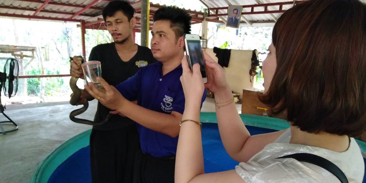 スネークファーム🐍

欧米人は怖がってあんまり近寄らなかったけど、結構近く...