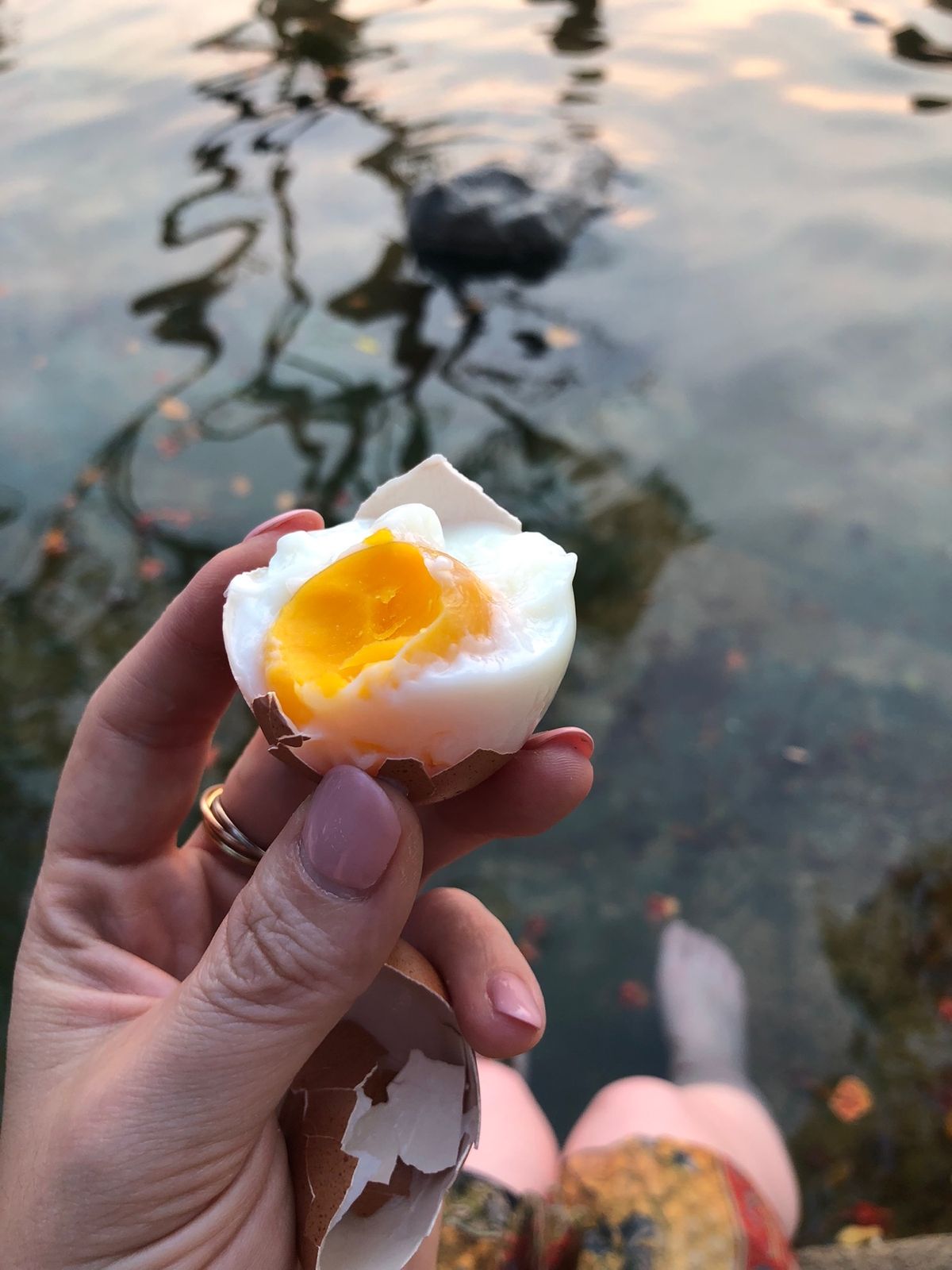チェンライ温泉

足湯に浸かりながら温泉卵食べた😋
