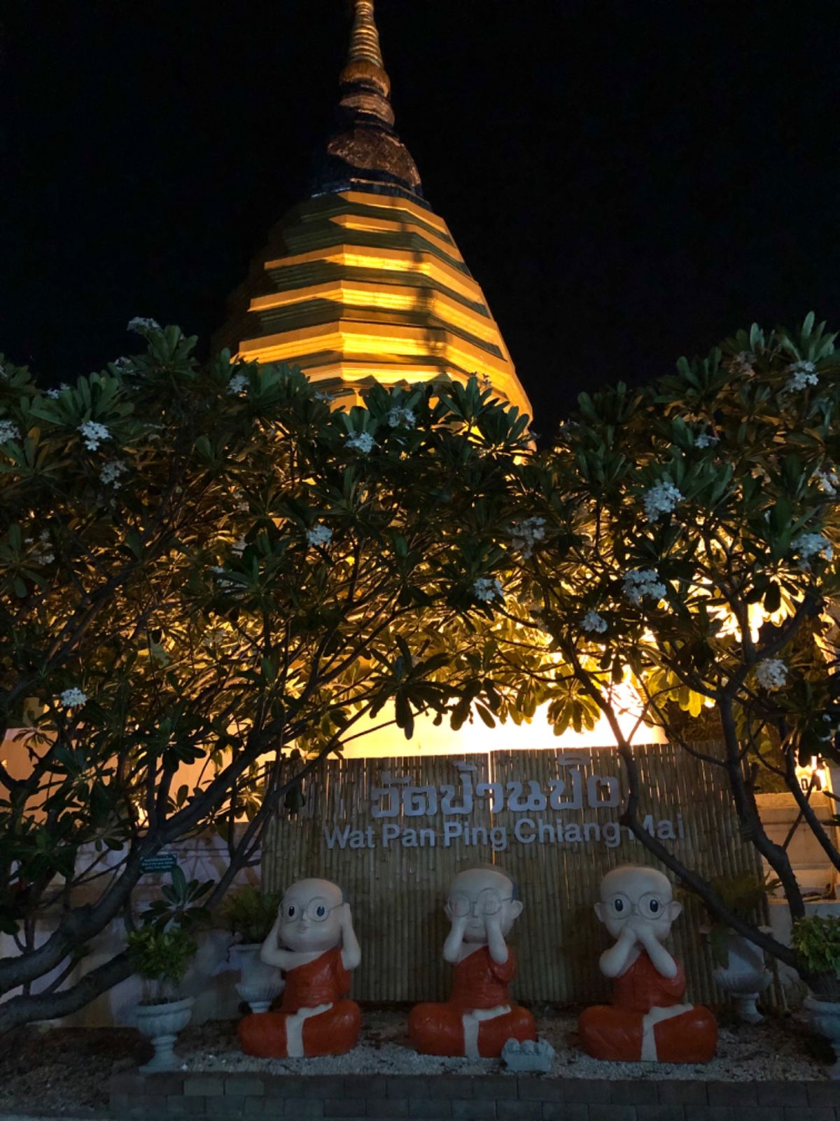 ワット パーンピン วัดป้านปิง

宿の隣にあったお寺なんだけど
...
