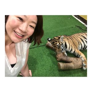 タイガーキングダムで
🐯ちゃんに触りまくった〜！！
大人の虎は恐る恐るだっ...